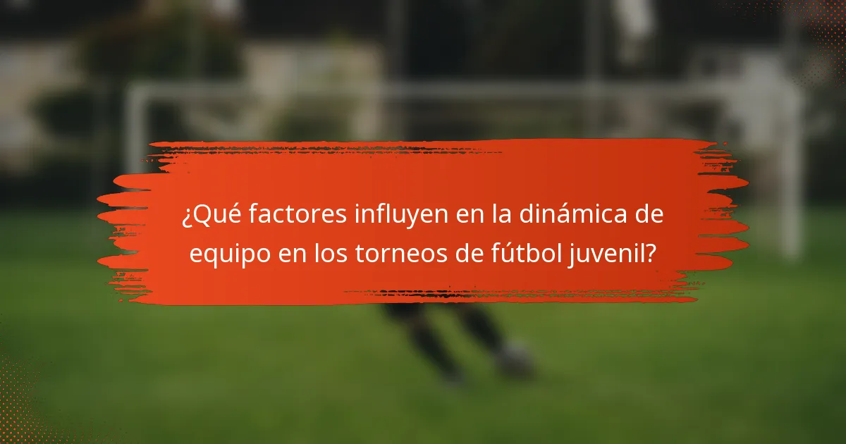 ¿Qué factores influyen en la dinámica de equipo en los torneos de fútbol juvenil?